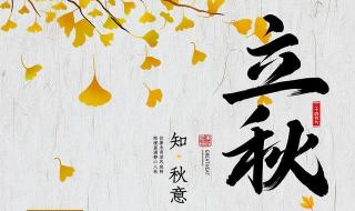2023年8月8号几点几分立秋