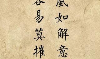 愿逆风如解意税后十个亿