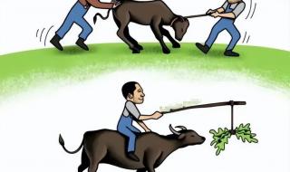明年考研人数预计超500万