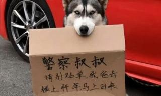 谁在租劳斯莱斯过年