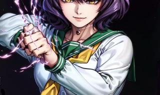 《憧憬成为魔法少女》动漫
