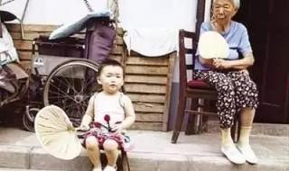 奶奶养了两只鸡儿歌歌词